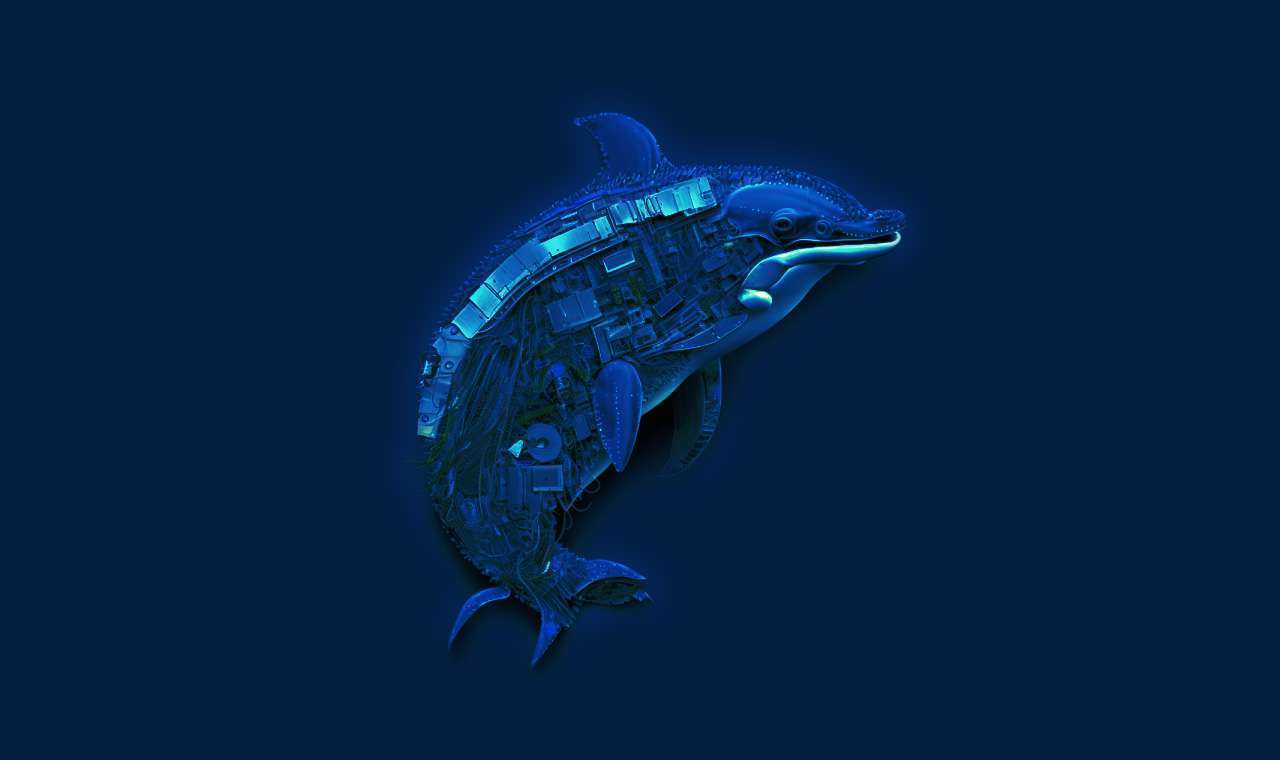 创建和使用MySQL 8用户属性