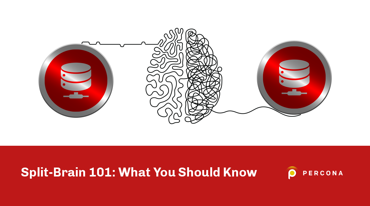 Split-Brain 101: What You Should Know
