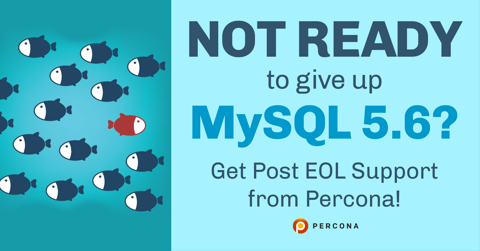 还没准备好放弃MySQL 5.6?从Percona获得后EOL支持!雷竞技下载官网