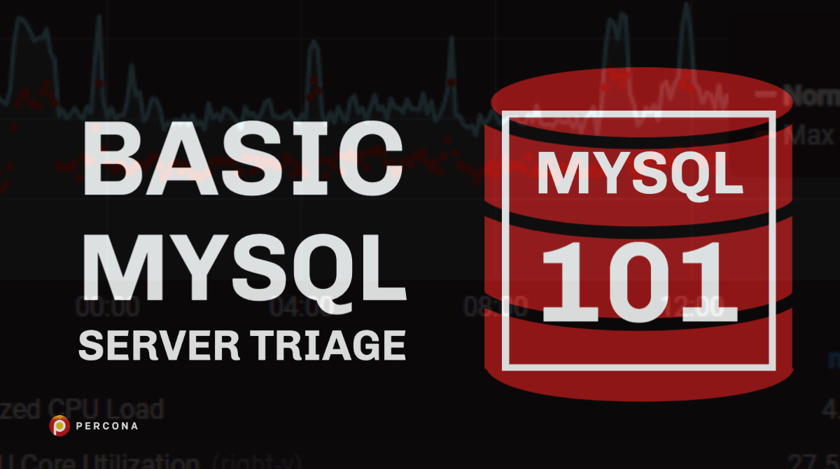 MySQL 101:基本的MySQL服务器分类