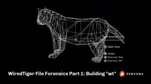 wiredtiger文件取证