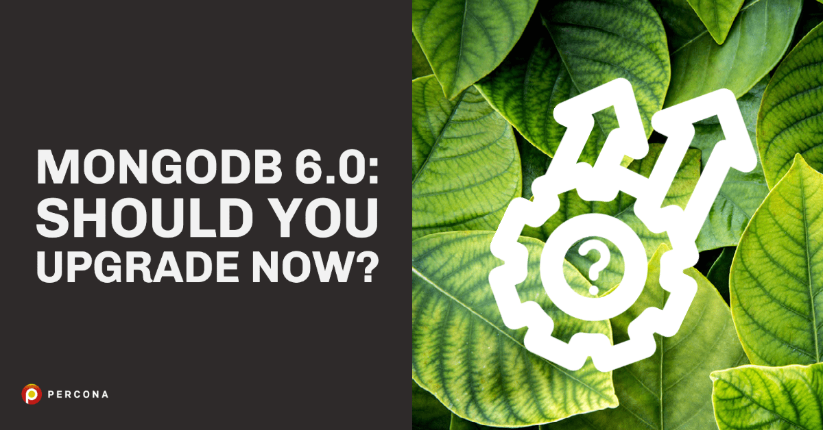 MongoDB 6.0:现在应该升级吗?