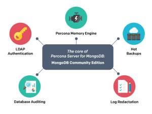雷竞技下载官网MongoDB 6.0 Percona服务器