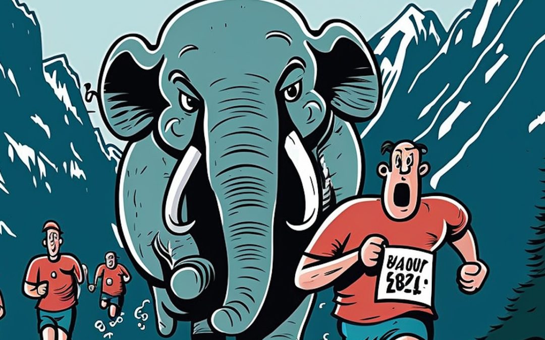 数据库团队运行丹佛马拉松接力Percona活2023年雷竞技下载官网